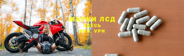 шишки Аркадак
