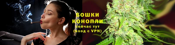PSILOCYBIN Армянск