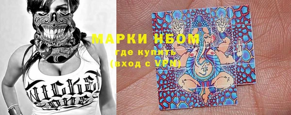 шишки Аркадак
