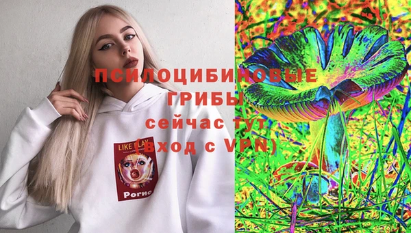 spice Белокуриха