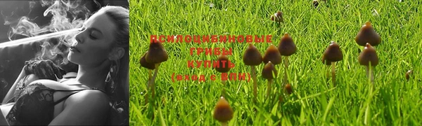 spice Белокуриха