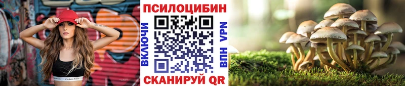 Галлюциногенные грибы Psilocybine cubensis  Высоцк 